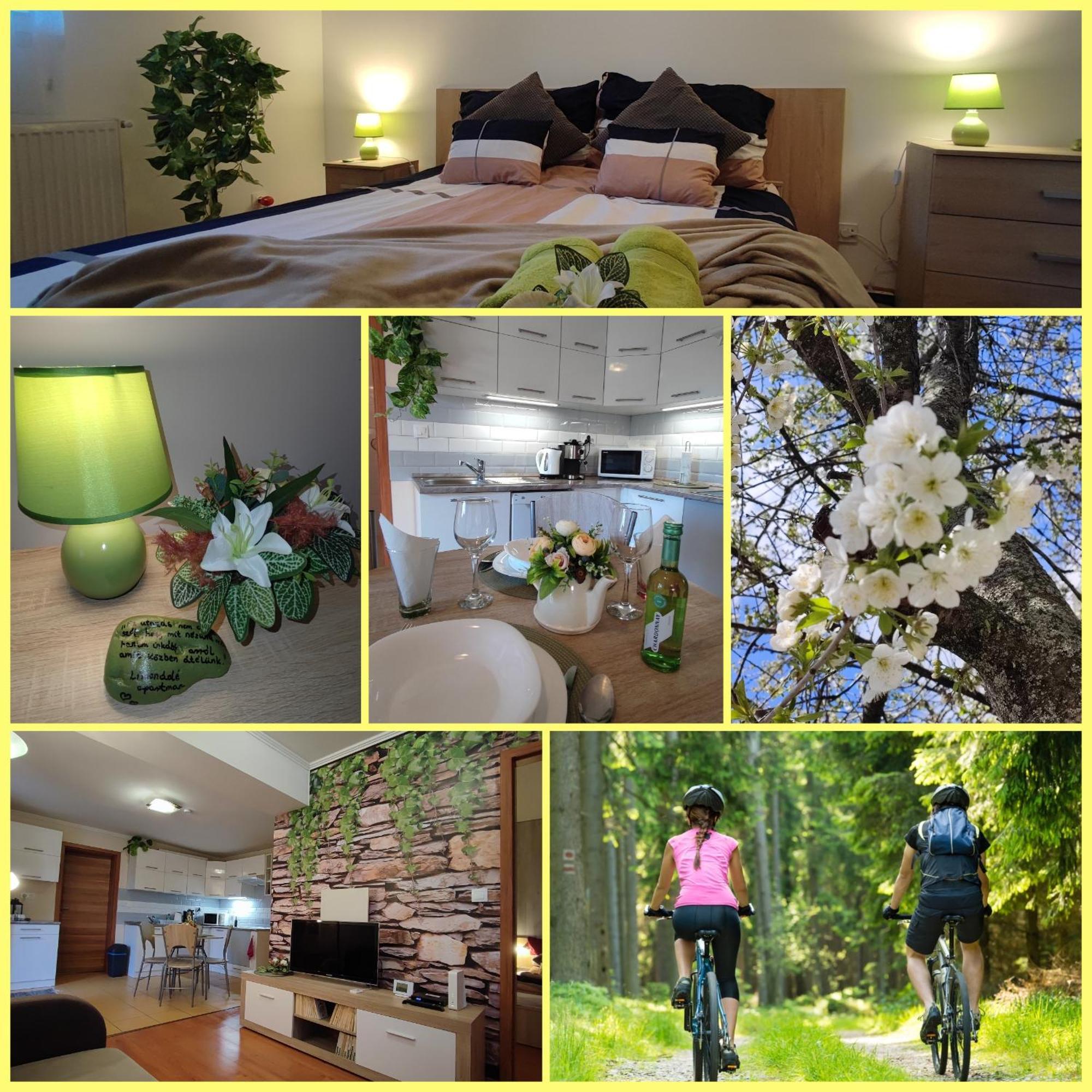 Limonade Apartman Ac Agard Elmenyfuerdo Mellett Gárdony 외부 사진